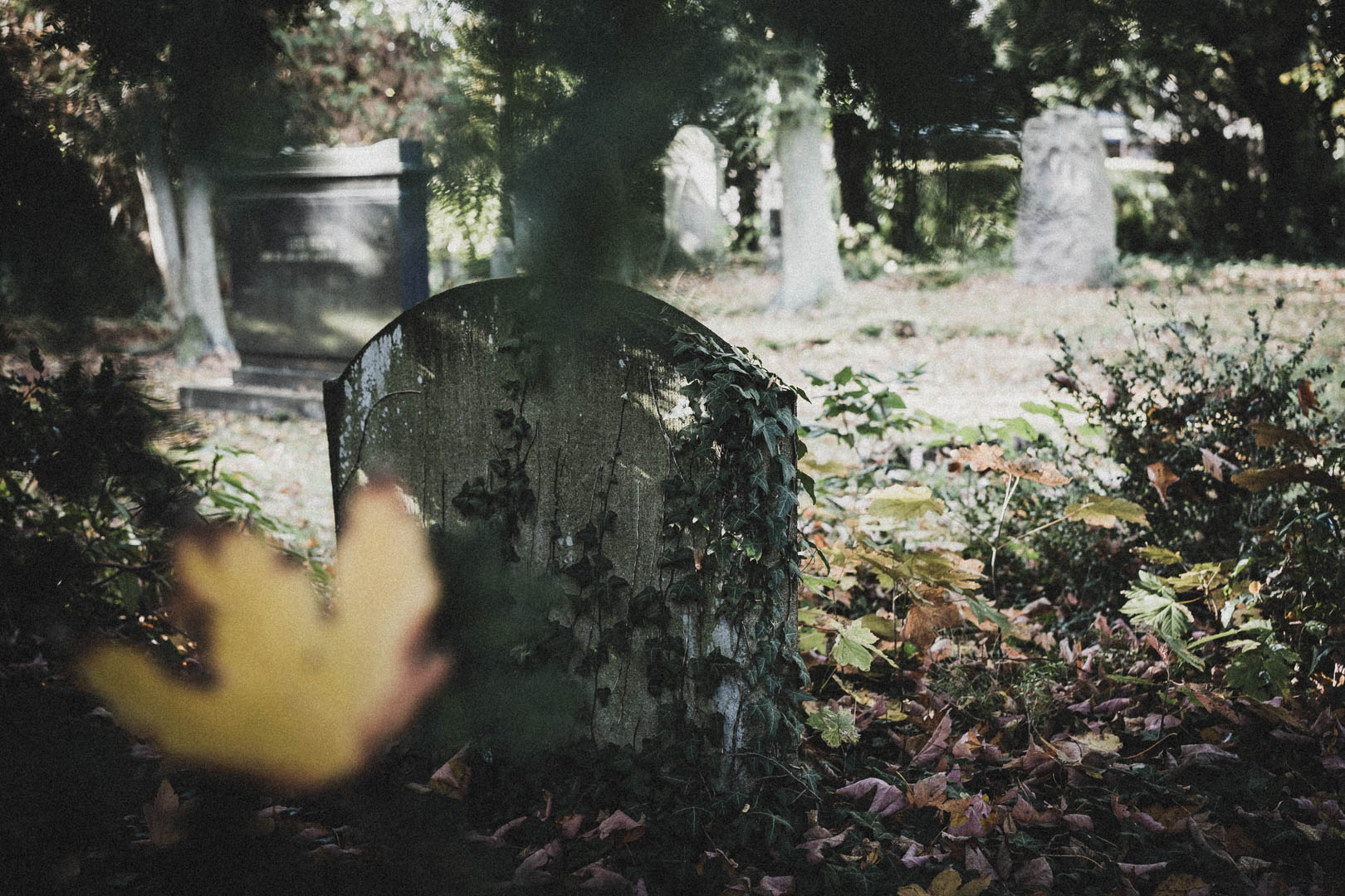 Schortens-Heidmühle, Jüdischer Friedhof